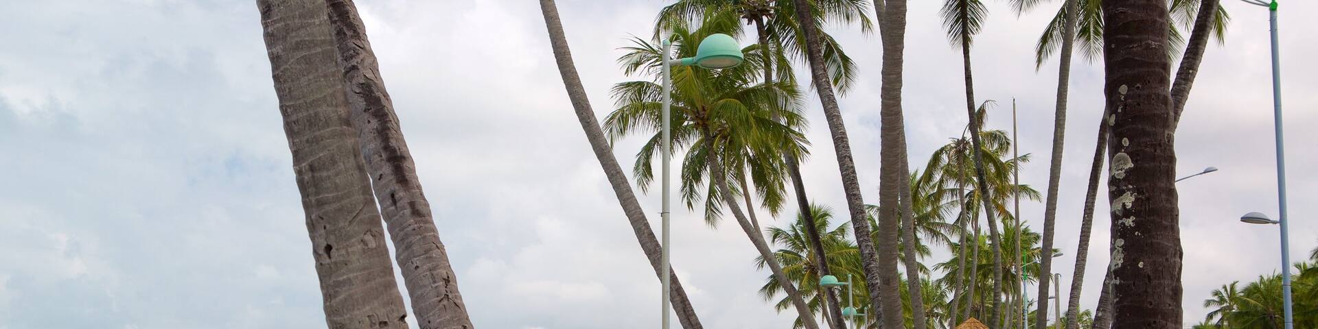 Ponta Verde Beach featuring general coastal views
