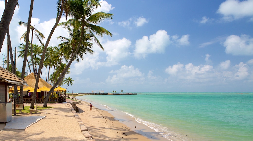 Praia de Ponta Verde das einen tropische Szenerien, allgemeine Küstenansicht und Sandstrand