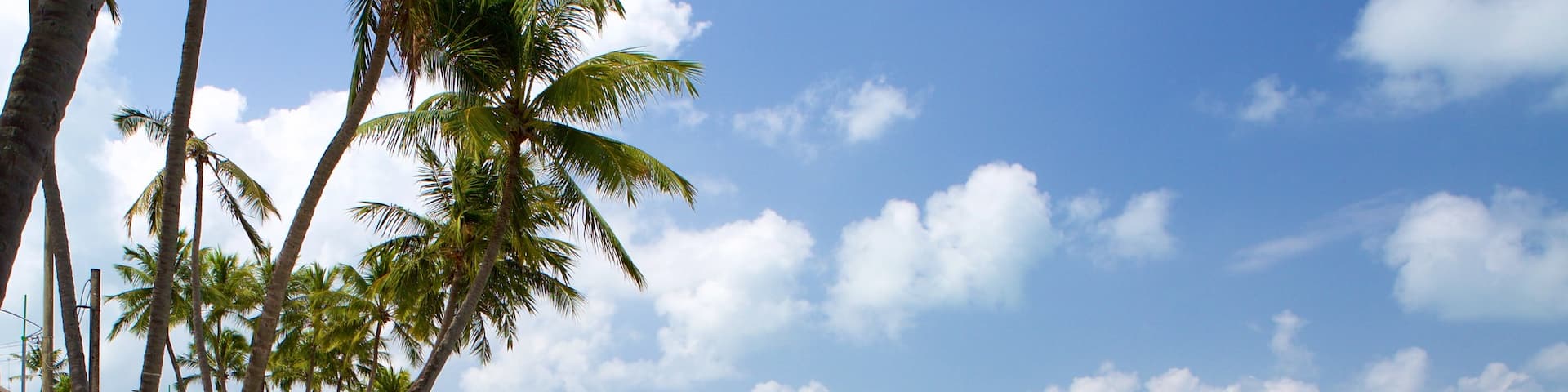 Ponta Verde Beach which includes a beach, general coastal views and tropical scenes