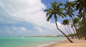 Playa de Ponta Verde ofreciendo vistas de una costa, una playa y escenas tropicales