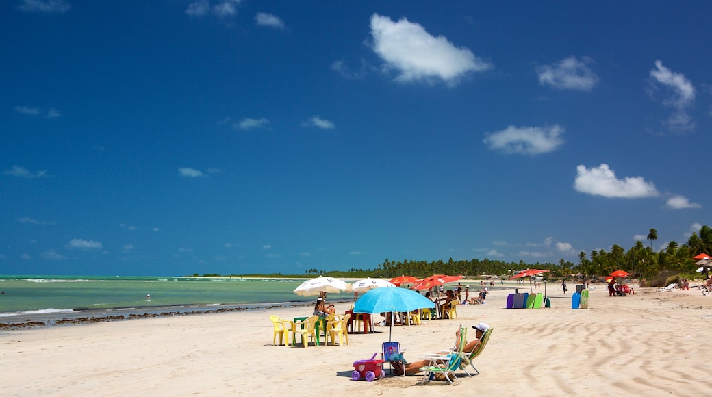 Playa Paripueira que incluye una playa, vistas generales de la costa y escenas tropicales