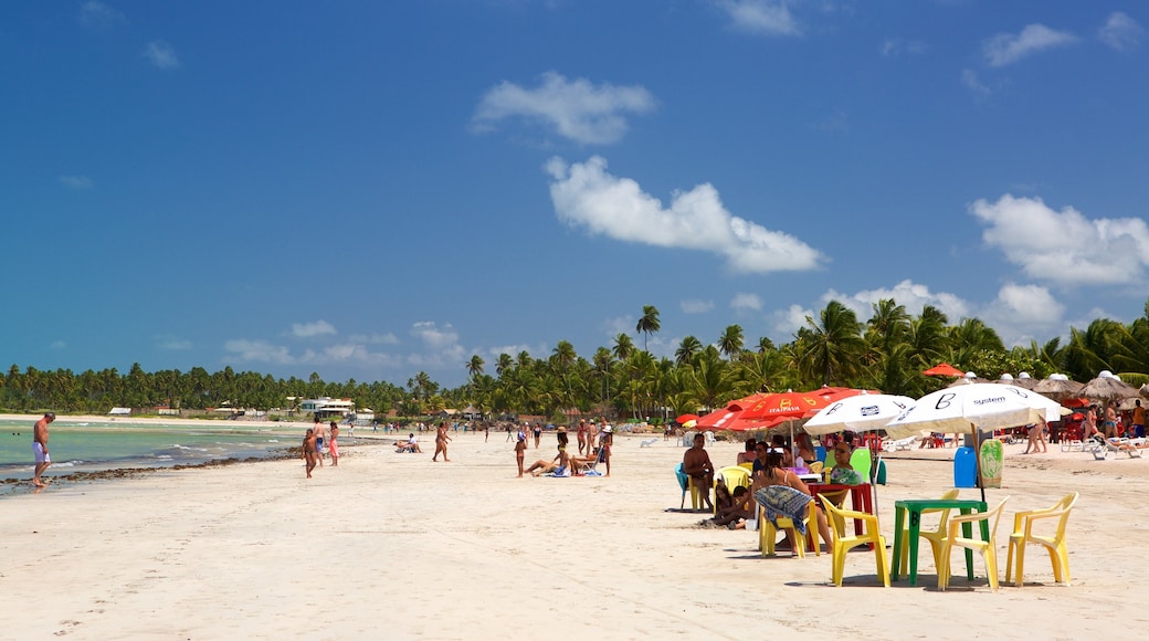 Playa Paripueira mostrando escenas tropicales, vistas de una costa y una playa