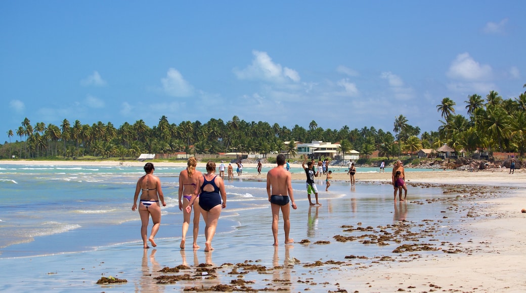 Praia de Paripueira mostrando uma praia, cenas tropicais e paisagens litorâneas