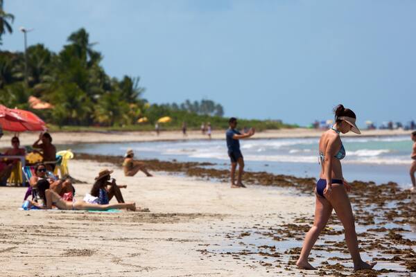 Paripueira Beach featuring a beach, tropical scenes and general coastal views