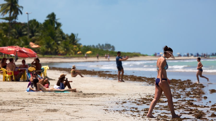 Paripueira Beach featuring a beach, tropical scenes and general coastal views