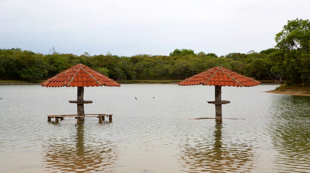 Praia da Figueira que inclui paisagens litorâneas e pântano