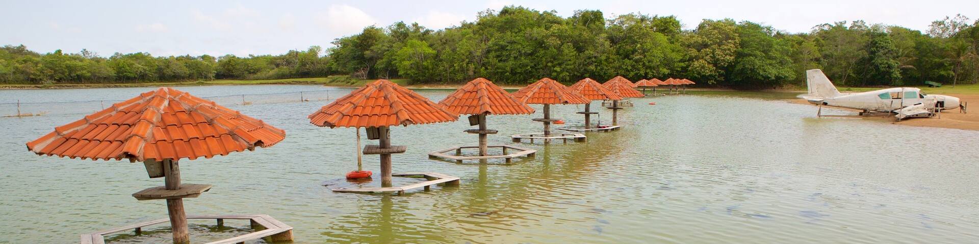Figueira Beach featuring marine life and a sandy beach