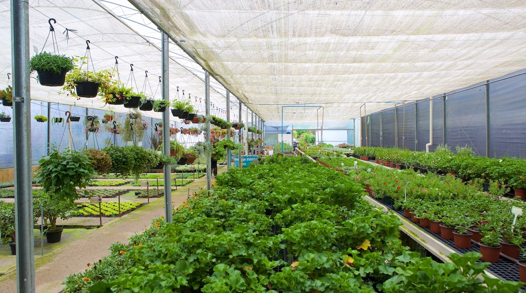 Le Jardin Lavender Park showing interior views