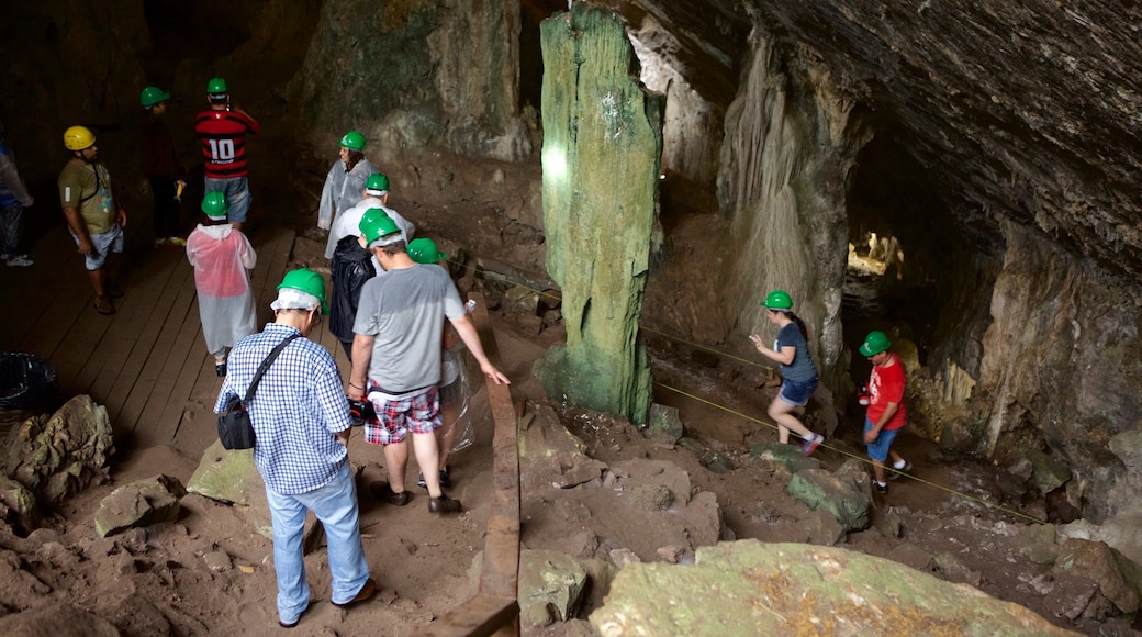 Sao Miguel Cave which includes caving and caves as well as a small group of people