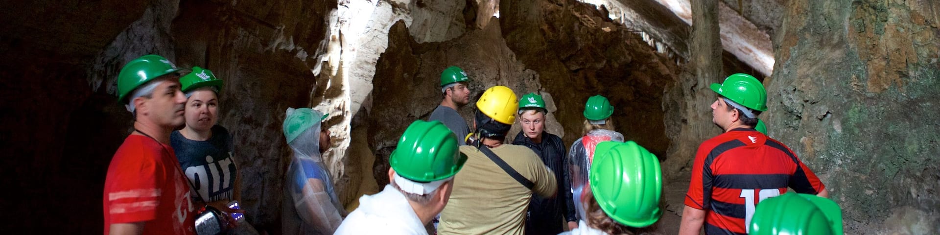 Sao Miguel Cave showing caving and caves as well as a small group of people