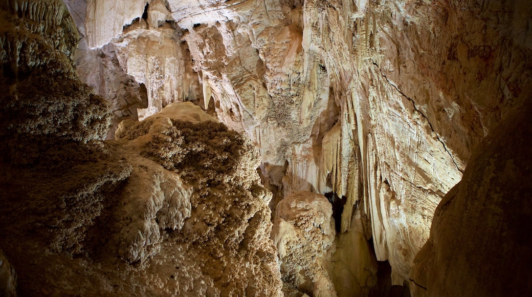 Sao Miguel Cave showing caves