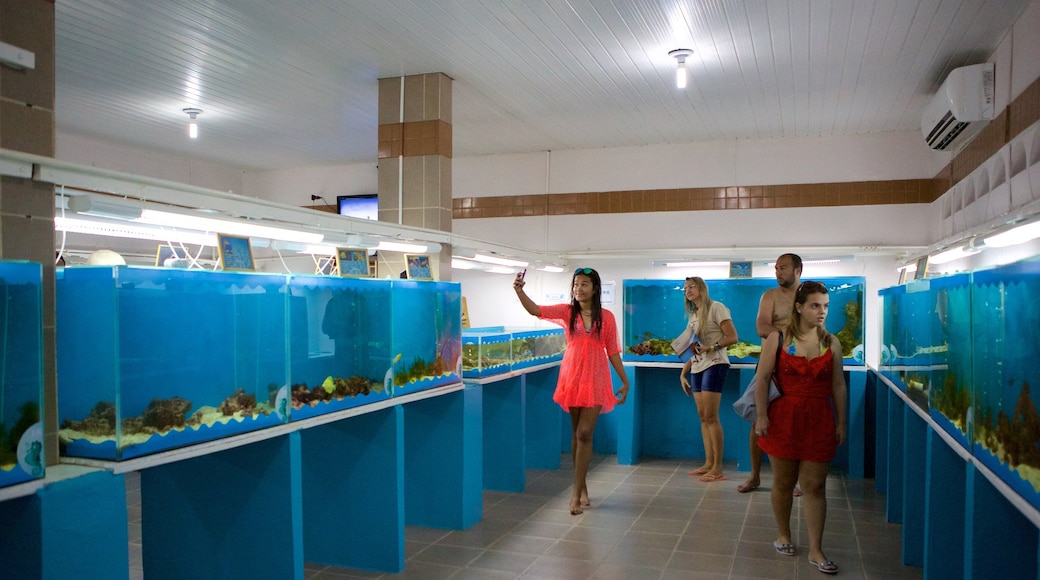 Ipojuca featuring marine life and interior views as well as a small group of people