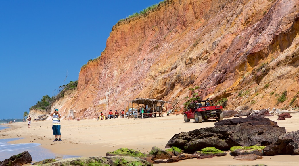 Maceió mostrando paisagens litorâneas, uma praia de areia e litoral rochoso