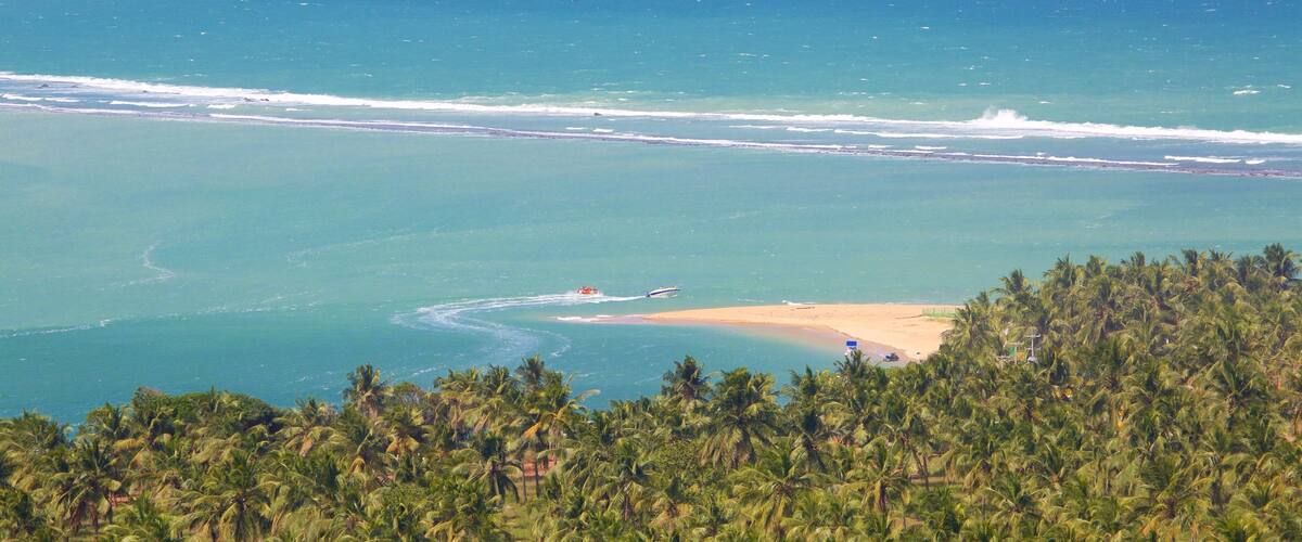 Maceio featuring tropical scenes, a beach and general coastal views