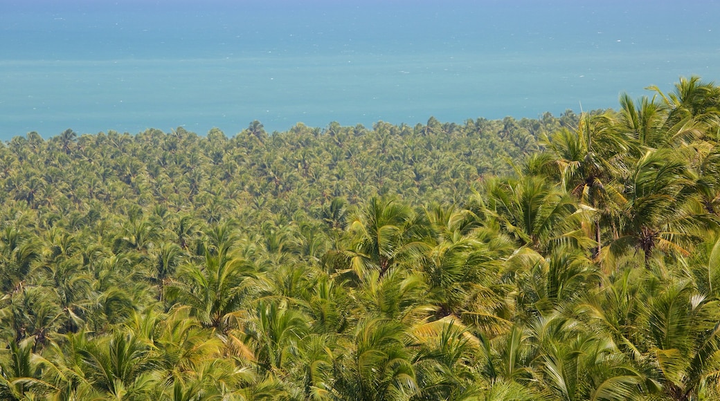 Gunga Beach showing general coastal views and landscape views