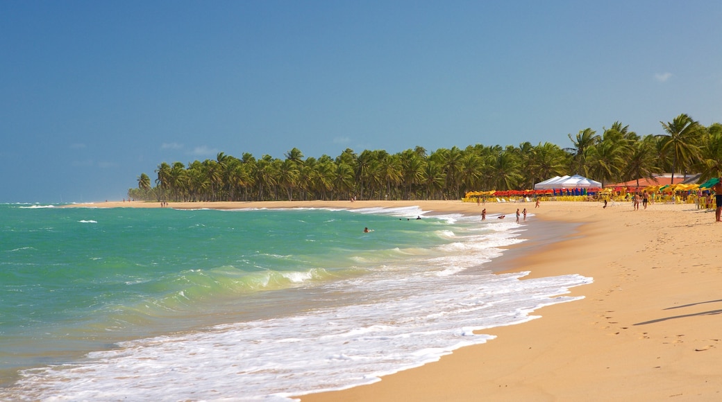 Maceio mostrando spiaggia sabbiosa, surf e paesaggio tropicale