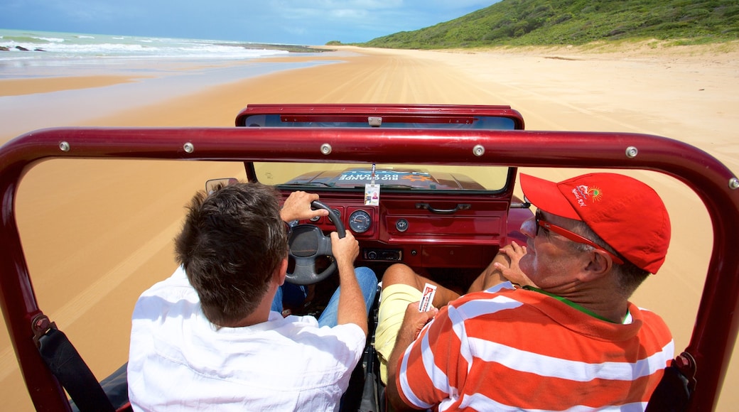 Natal mostrando uma praia de areia, paisagens litorâneas e off-road