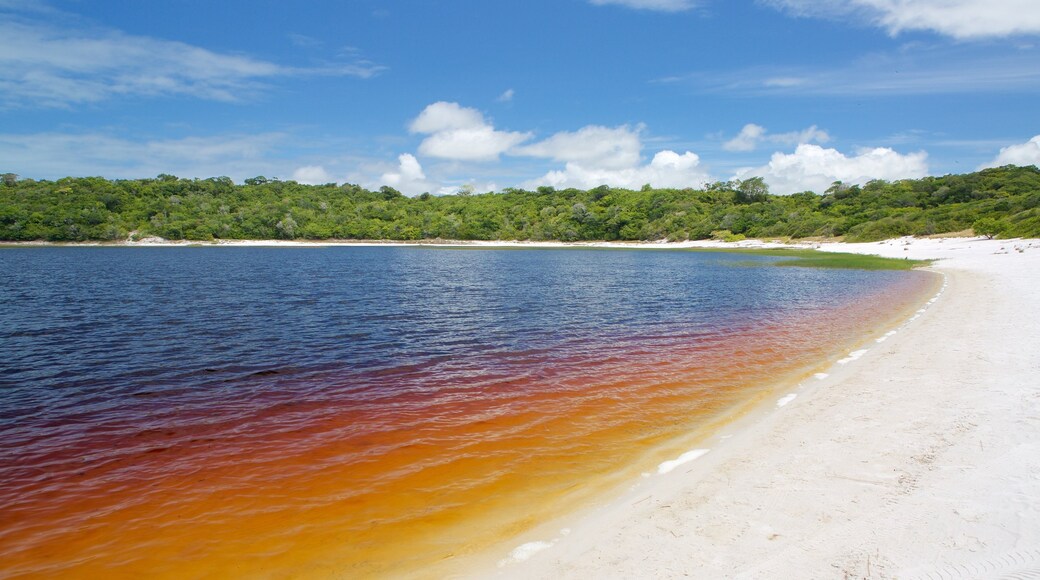 Natal showing a lake or waterhole and a sandy beach