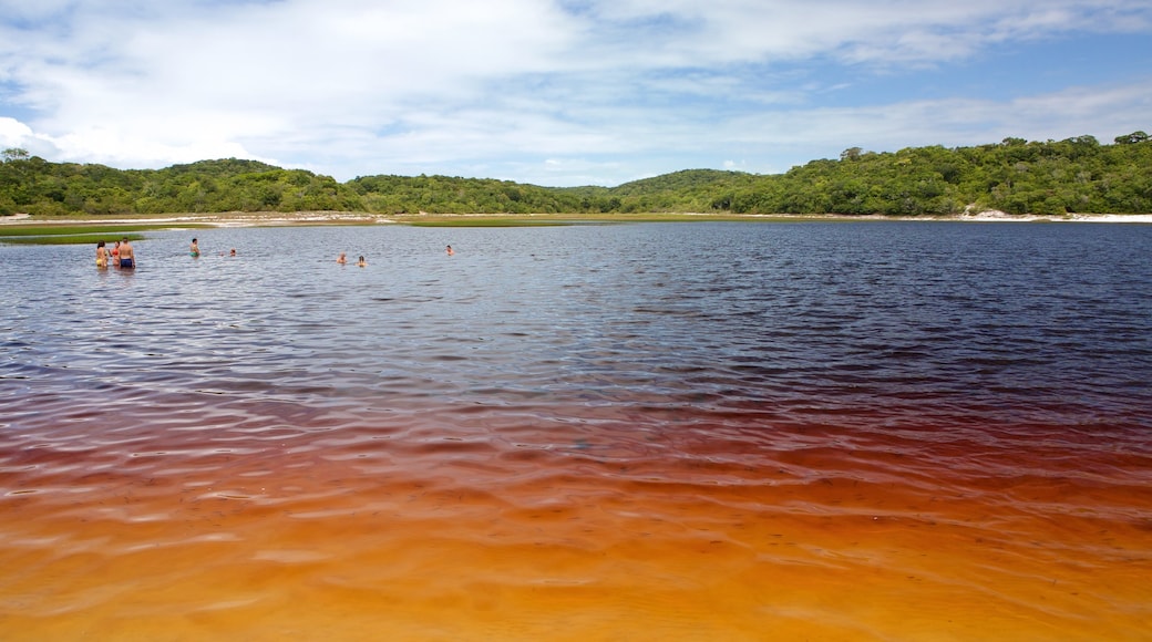 Natal mostrando um lago ou charco e natação assim como um pequeno grupo de pessoas