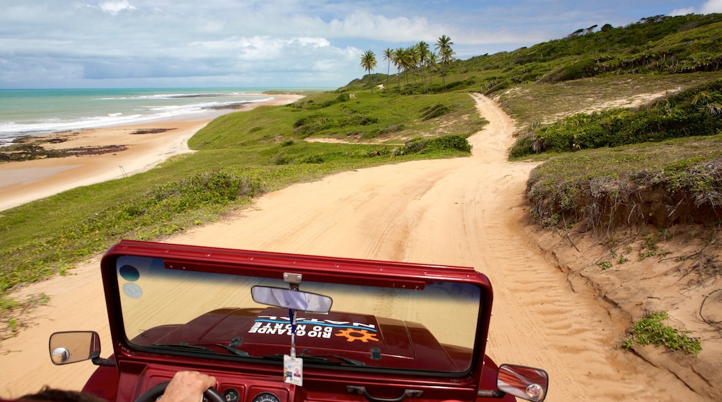 Natal mostrando 4x4, cenas tropicais e uma praia