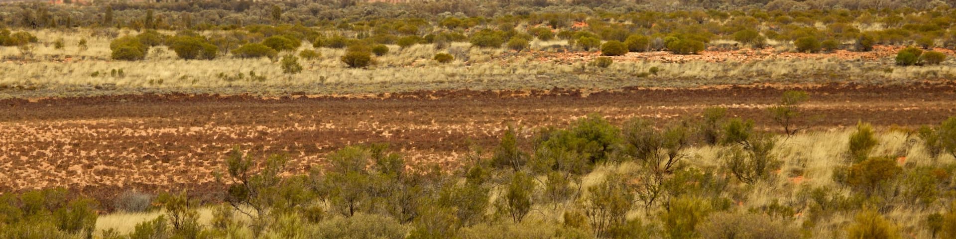 Red Centre showing desert views and tranquil scenes