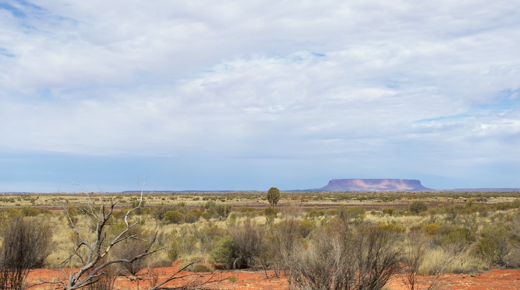 Red Centre qui includes vues du désert et scènes tranquilles