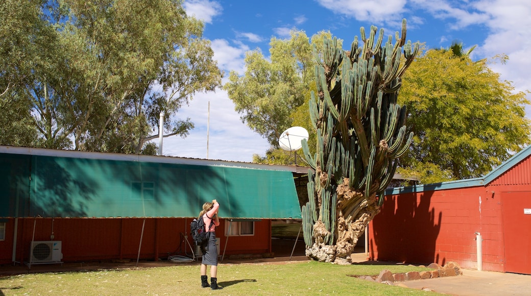 Red Centre das einen ruhige Szenerie sowie einzelne Frau
