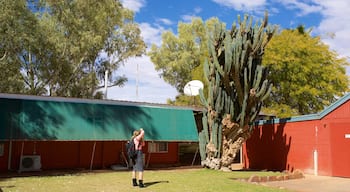 Red Centre som inkluderar stillsam natur såväl som en kvinna