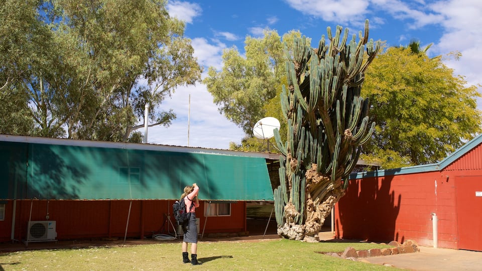 Red Centre featuring tranquil scenes as well as an individual femail