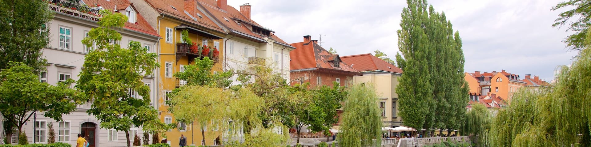 Ljubljana qui includes riviĂšre ou ruisseau