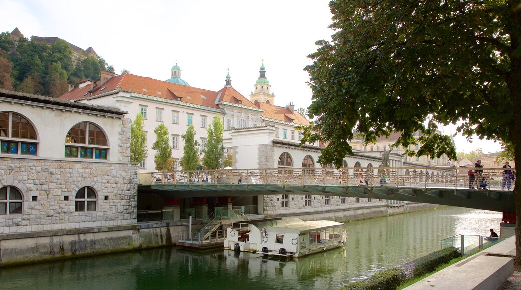 Ljubljana som inkluderar en bro, en å eller flod och båtkörning