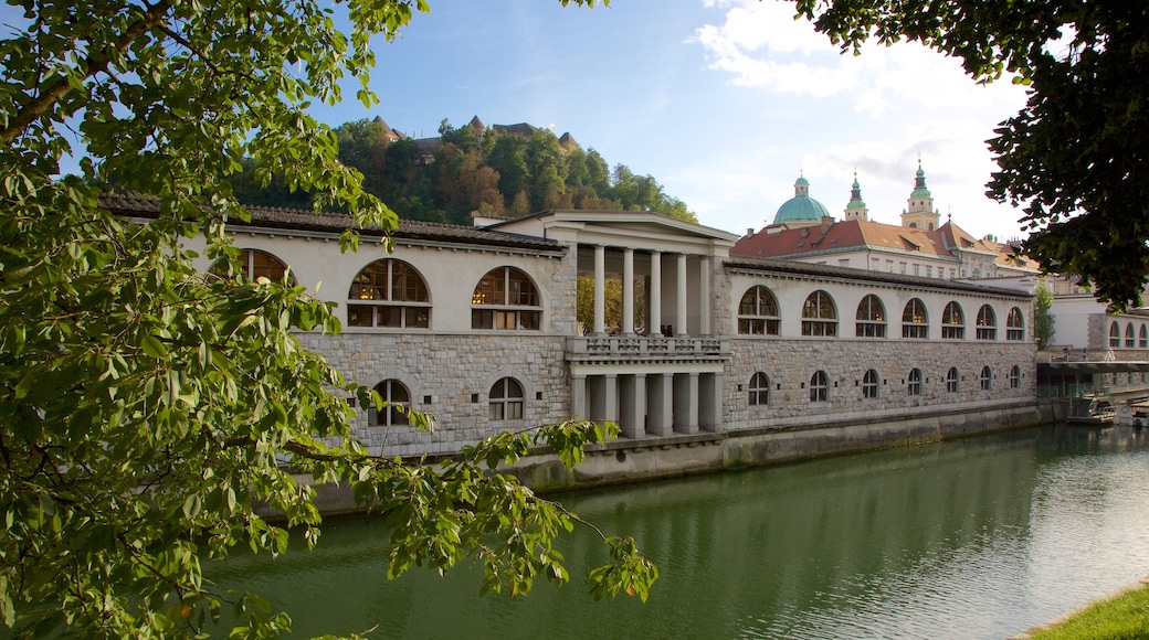 Ljubljana presenterar en å eller flod och historisk arkitektur