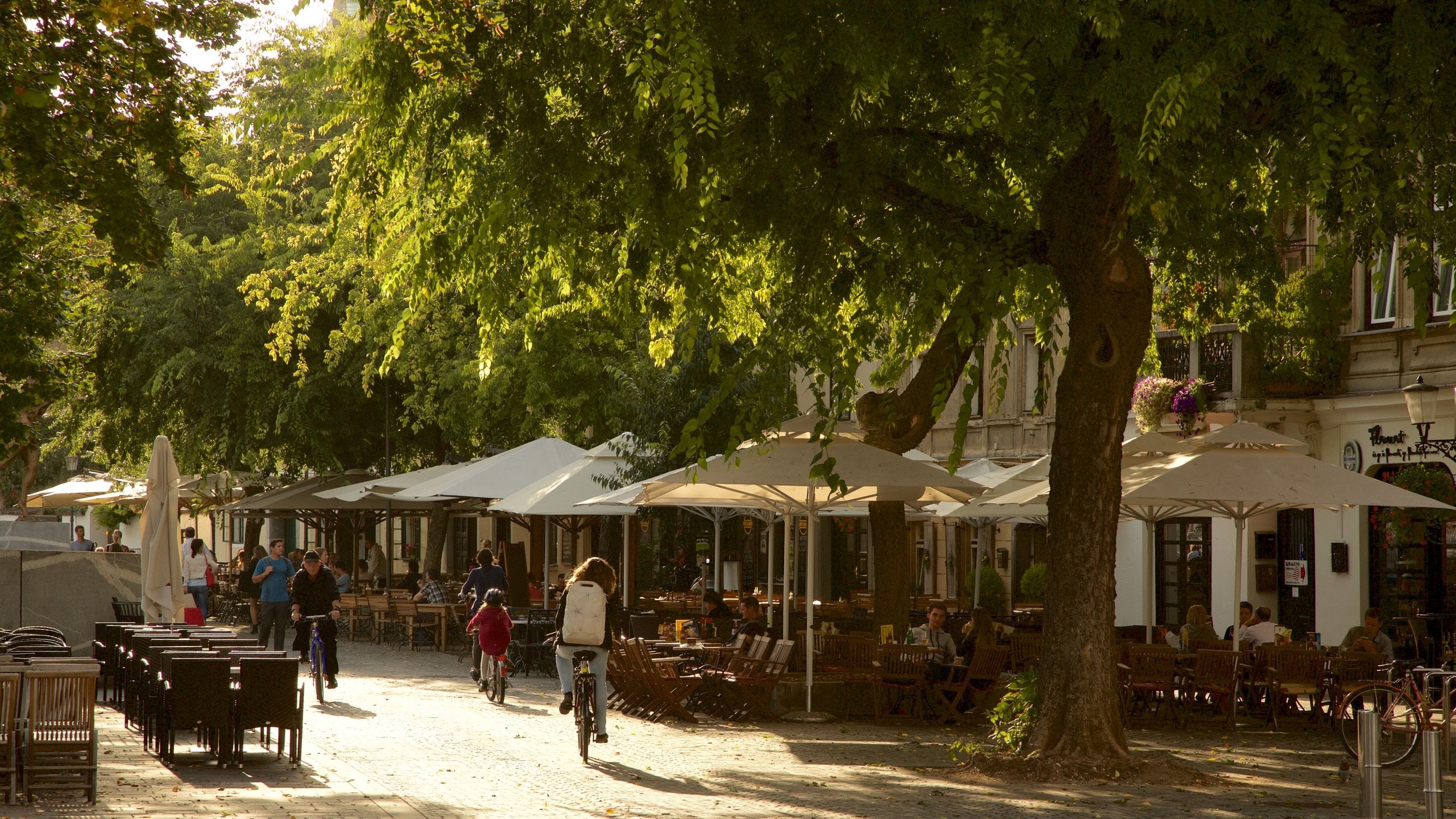 Lubiana que incluye comer al aire libre, ciclismo y estilo de vida de café