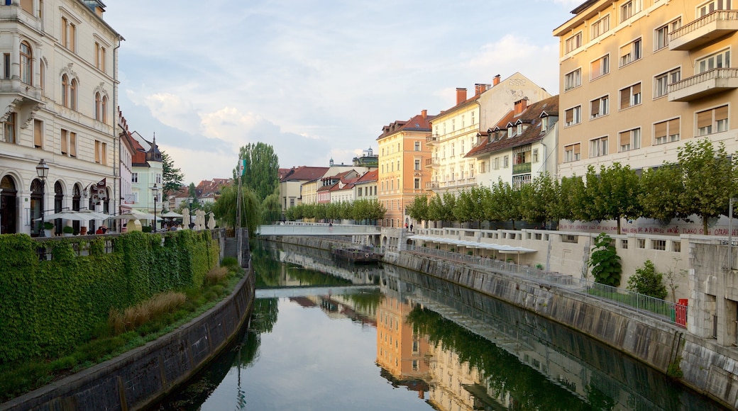 Ljubljana som visar en stad, en å eller flod och historisk arkitektur