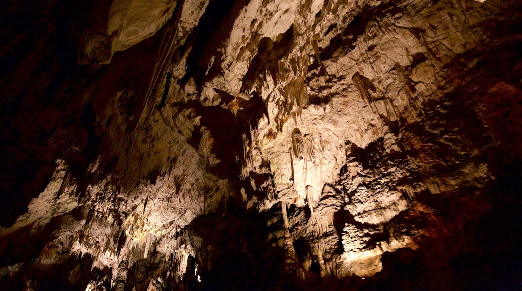 Cuevas de Postjona ofreciendo cuevas