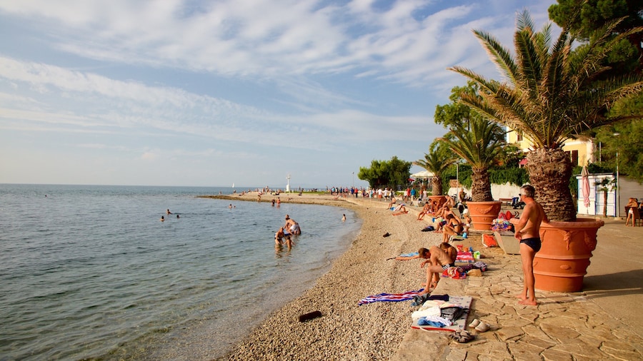 Lighthouse Park featuring swimming, a coastal town and a pebble beach