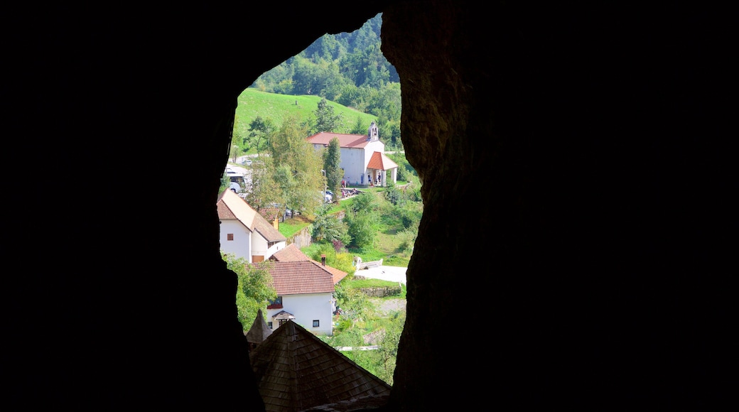 Predjama Castle featuring a coastal town