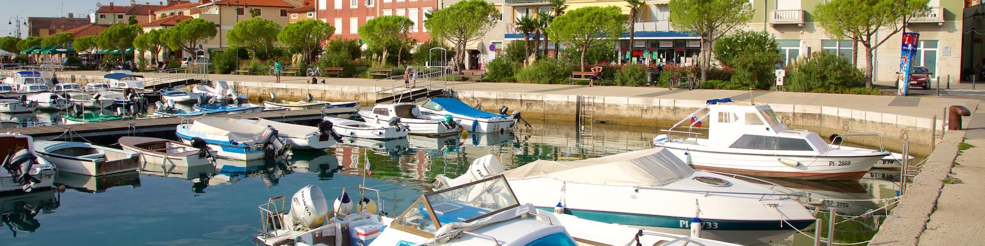 Marina d\'Izola mettant en vedette marina, navigation et ville cĂŽtiĂšre