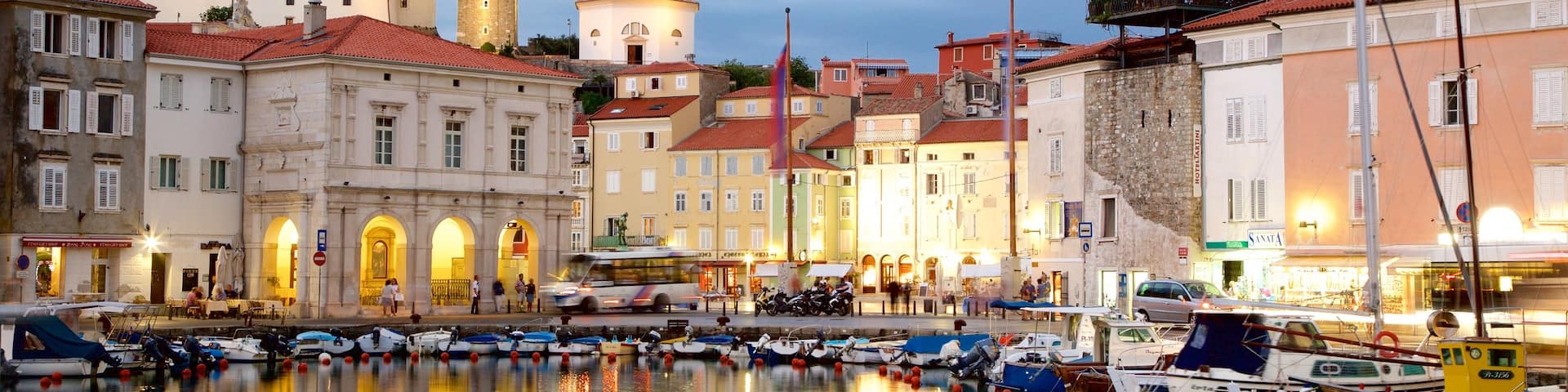 Piran que incluye una marina, una ciudad costera y paseos en lancha