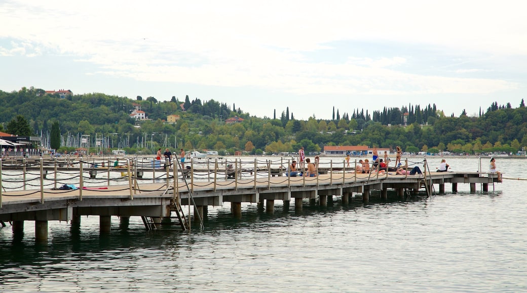 Portoroz Beach bevat algemene kustgezichten en een kuststadje