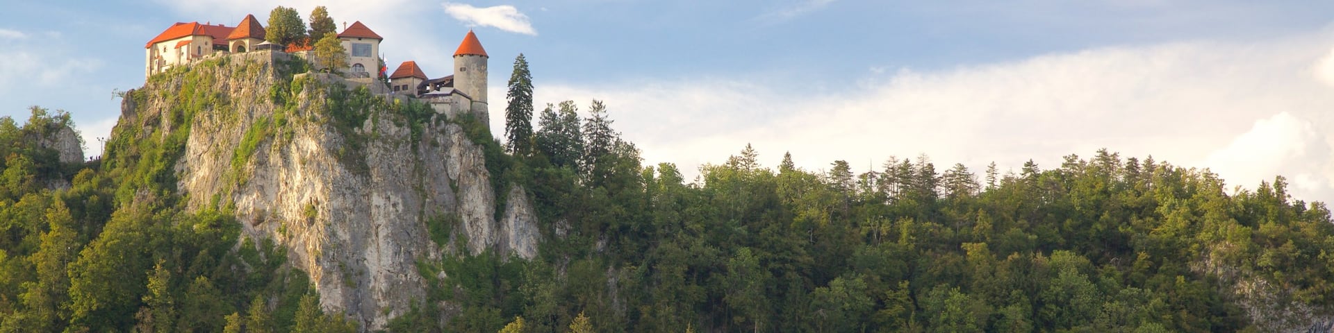 Bled Castle showing landscape views and a lake or waterhole