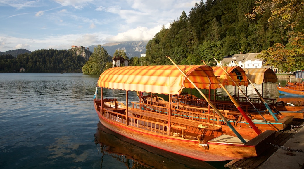 Lake Bled inclusief varen en algemene kustgezichten