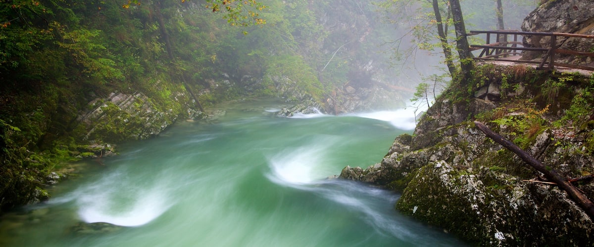 Vintgar Gorge showing rainforest, rapids and a lake or waterhole
