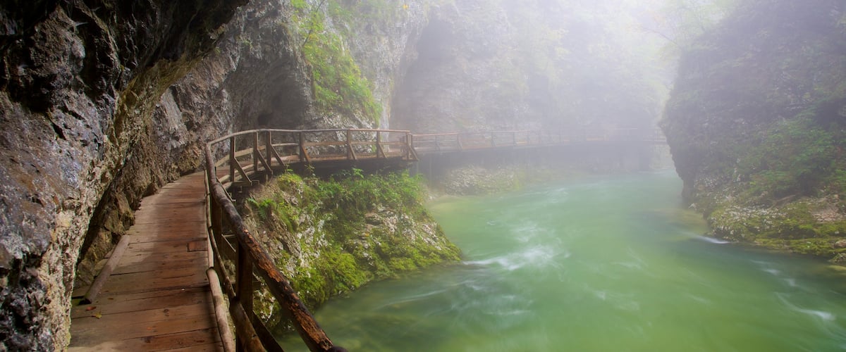 Vintgar Gorge แสดง ป่าฝน, หมอก และ กระแสน้ำไหลเชี่ยว