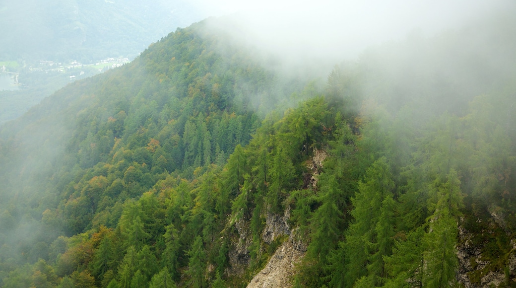 Nationaal park Triglav toont bergen en mist of nevel