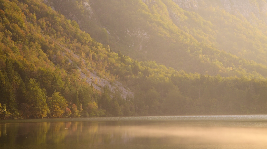 Bohinj-sjøen som inkluderer fjell, solnedgang og innsjø