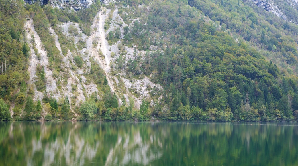 Lake Bohinj showing a lake or waterhole and mountains