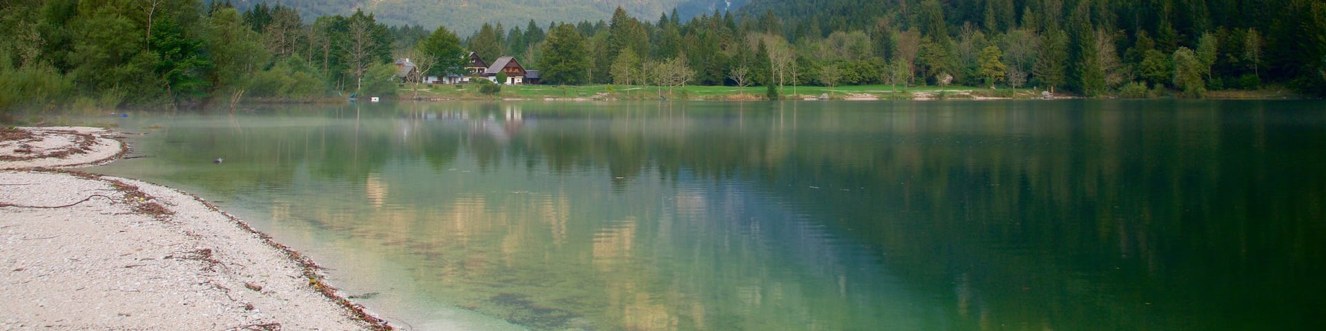 Lake Bohinj featuring a lake or waterhole and mountains