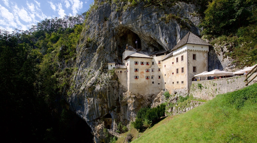 Castillo de Predjama que incluye castillo o palacio