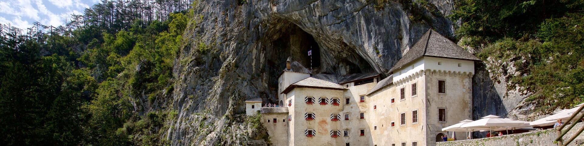 Predjama Castle showing a castle